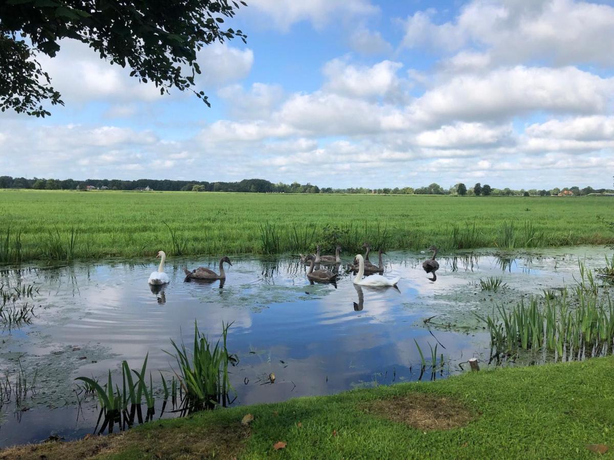 Prive In Een Bosrijke Omgeving Welkom Bij Gastenverblijf Het Ontsnapte Schaap In Jubbega Esterno foto